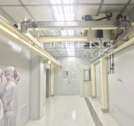 江苏洁净室起重机制造商