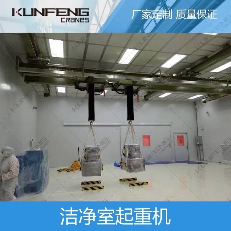 欧式无尘航吊